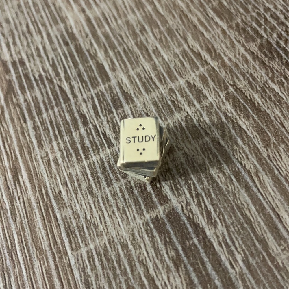 Pandora Study Books Charm